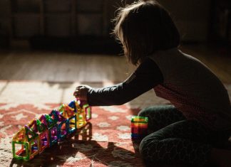 Role of Parental Occupation in Autism Diagnosis and Severity Role of Parental Occupation in Autism Diagnosis and Severity