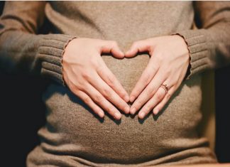 Study: Computational models reveal effects of pregnancy on kidneys Study: Computational models reveal effects of pregnancy on kidneys