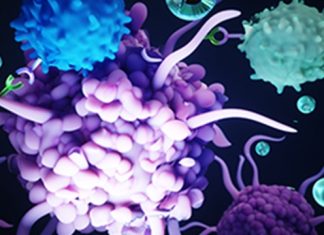 Study: Nanotherapy offers new hope for the treatment of Type 1 diabetes Study: Nanotherapy offers new hope for the treatment of Type 1 diabetes