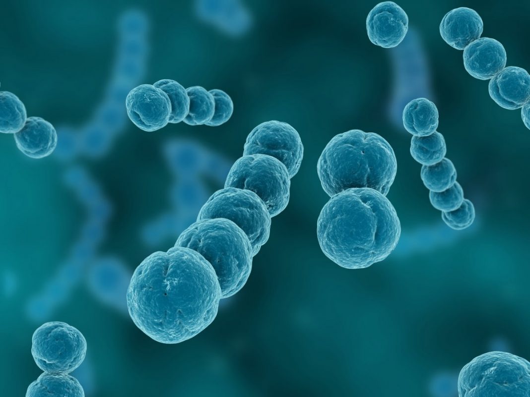 New Research Identifies African hotspot For Highly Infectious