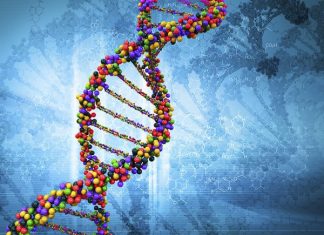 Scientists develop new way of studying the genetics of mental illness Scientists develop new way of studying the genetics of mental illness