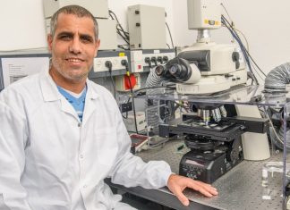 Scientists engineer human spinal cord implants for treating paralysis Scientists engineer human spinal cord implants for treating paralysis