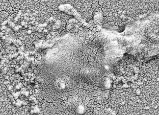 Study: A new way to disarm antibiotic resistance in deadly bacteria Study: A new way to disarm antibiotic resistance in deadly bacteria