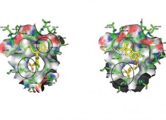 Study: Diabetes, metabolic syndrome in mice treated with novel class of compounds Study: Diabetes, metabolic syndrome in mice treated with novel class of compounds