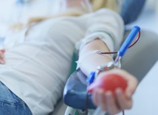 Transfused blood reported to reverse memory impairment Transfused blood reported to reverse memory impairment