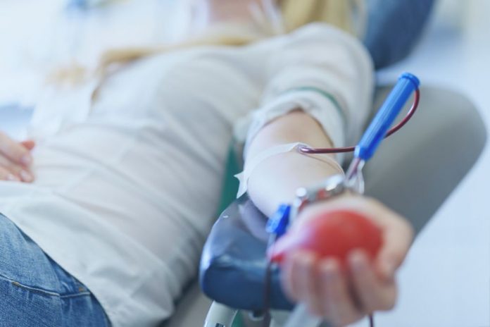 Transfused blood reported to reverse memory impairment