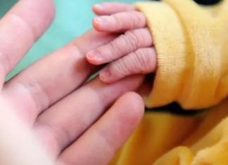 Longer breast feeding leads to higher IQs and earning ability Longer breast feeding leads to higher IQs and earning ability