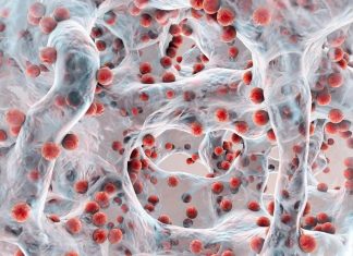 New antimicrobials could fight methicillin-resistant Staphylococcus aureus New antimicrobials could fight methicillin-resistant Staphylococcus aureus