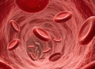 New blood clot study indicates enhanced understanding of wound repair New blood clot study indicates enhanced understanding of wound repair