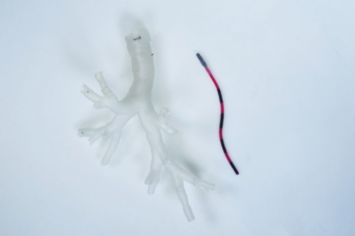 Researchers develop a ‘magnetic tentacle robot’ to pass into the narrow tubes of the lung