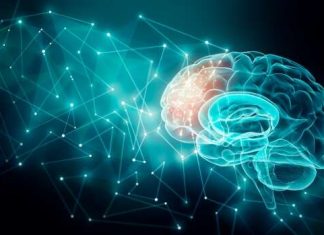 Scientists may have unlocked the blood-brain barrier Scientists may have unlocked the blood-brain barrier