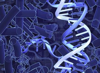 New research unlocks key to success of drug-resistant bacteria New research unlocks key to success of drug-resistant bacteria