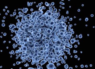 Research sheds light on why immunodeficiency affects only one identical twin Research sheds light on why immunodeficiency affects only one identical twin