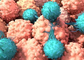 Scientists load CAR T cells with oncolytic virus to treat solid cancer tumors Scientists load CAR T cells with oncolytic virus to treat solid cancer tumors