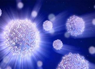 Scientists use patients’ own stem cells to lessen damage from Crohn’s disease Scientists use patients' own stem cells to lessen damage from Crohn's disease