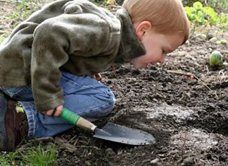 Is the Hygiene Therapy Hypothesis for Autism Treatments Psuedoscience? Is the Hygiene Therapy Hypothesis for Autism Treatments Psuedoscience?