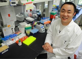 New research finds gut bacteria can make blood pressure medication less effective New research finds gut bacteria can make blood pressure medication less effective