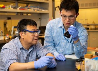 New study shows promise for developing a new renewable energy source New study shows promise for developing a new renewable energy source