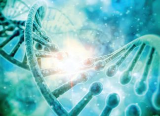 Study: Genetic test can diagnose certain immune system disorders Study: Genetic test can diagnose certain immune system disorders