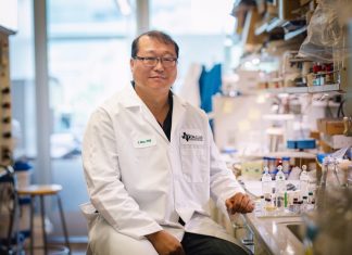 Researchers discover new molecule that kills hard-to-treat cancers Researchers discover new molecule that kills hard-to-treat cancers