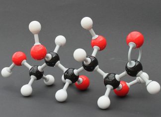 Study transforms glucose transporter proteins to water-soluble form Study transforms glucose transporter proteins to water-soluble form