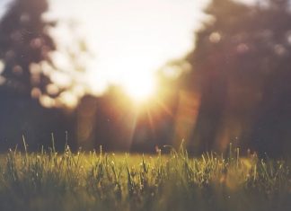 Exposure to sunlight may help lower blood pressure Exposure to sunlight may help lower blood pressure