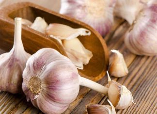 Garlic’s many health benefits studied Garlic's many health benefits studied