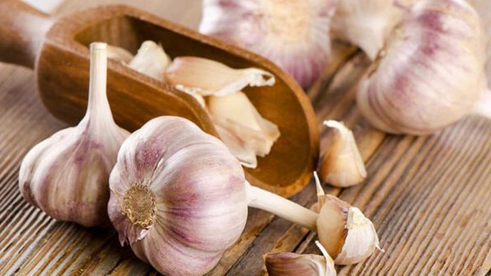 Garlic's many health benefits studied