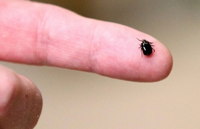 Lyme Disease estimates 10x higher than reported