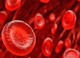 New research identifies links between high levels of blood clotting proteins and poorer breast cancer outcomes New research identifies links between high levels of blood clotting proteins and poorer breast cancer outcomes