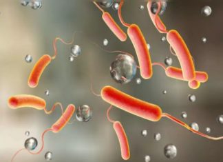 New research reveals why highly infectious cholera variant mysteriously died out New research reveals why highly infectious cholera variant mysteriously died out