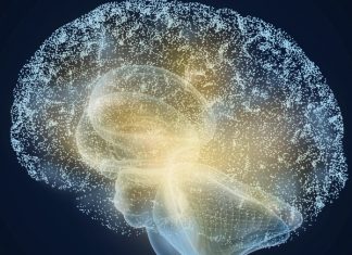 Researchers discover how the brain keeps the urge to act in check Researchers discover how the brain keeps the urge to act in check