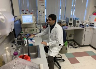 Scientists leads effort to improve research on diet and dementia Scientists leads effort to improve research on diet and dementia