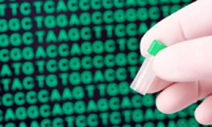 Gene accounts for 3% of intelligence differences, study suggests