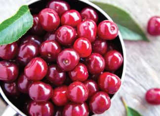 New study shows the effectiveness of tart cherries in alleviating insomnia New study shows the effectiveness of tart cherries in alleviating insomnia