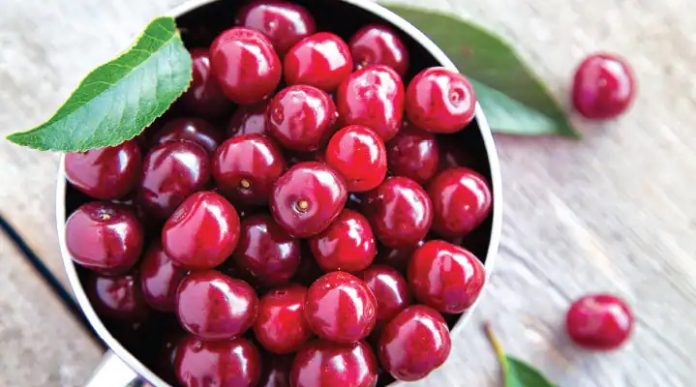 New study shows the effectiveness of tart cherries in alleviating insomnia