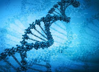 Study examines contributions of genetic and environmental variations to crime Study examines contributions of genetic and environmental variations to crime