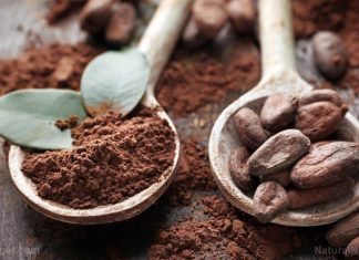 Dietary cocoa flavanols may reverse memory decline Dietary cocoa flavanols may reverse memory decline