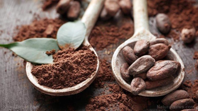 Dietary cocoa flavanols may reverse memory decline