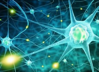 Study shows link between breast symmetry and eating disorders Study shows link between breast symmetry and eating disorders