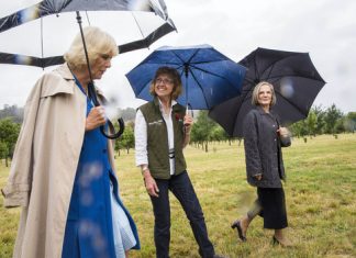 Walking communities stave off cognitive decline Walking communities stave off cognitive decline