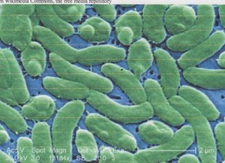 42-year old Texas father fights to save his leg from flesh killing bacteria 42-year old Texas father fights to save his leg from flesh killing bacteria