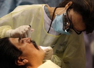 A natural plant chemical may prevent tooth decay A natural plant chemical may prevent tooth decay