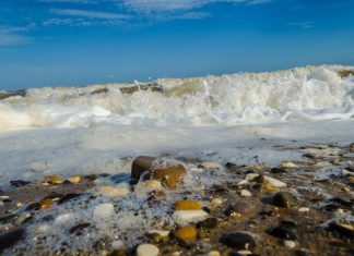 An introduction to neo-Freudian psychoanalytic theory An introduction to neo-Freudian psychoanalytic theory