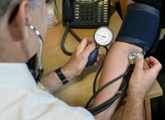 CU-Boulder study: Old arteries returning to their younger conditions CU-Boulder study: Old arteries returning to their younger conditions