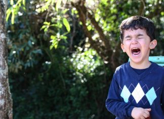 Social and emotional readiness for kindergarten key to future academic success Social and emotional readiness for kindergarten key to future academic success