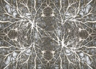 Your brain can be kept sharper with age with physical activity Your brain can be kept sharper with age with physical activity