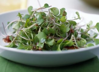 Broccoli sprout chemical improves autism symptoms in four months Broccoli sprout chemical improves autism symptoms in four months