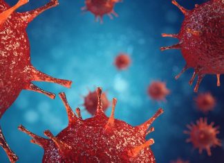 Cellular protein discovered that stops cancer spread Cellular protein discovered that stops cancer spread