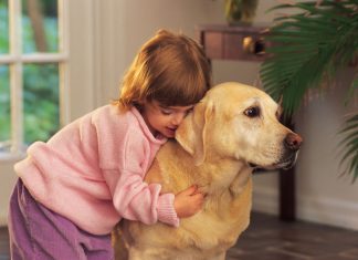 Study finds growing up with dogs reduces asthma Study finds growing up with dogs reduces asthma
